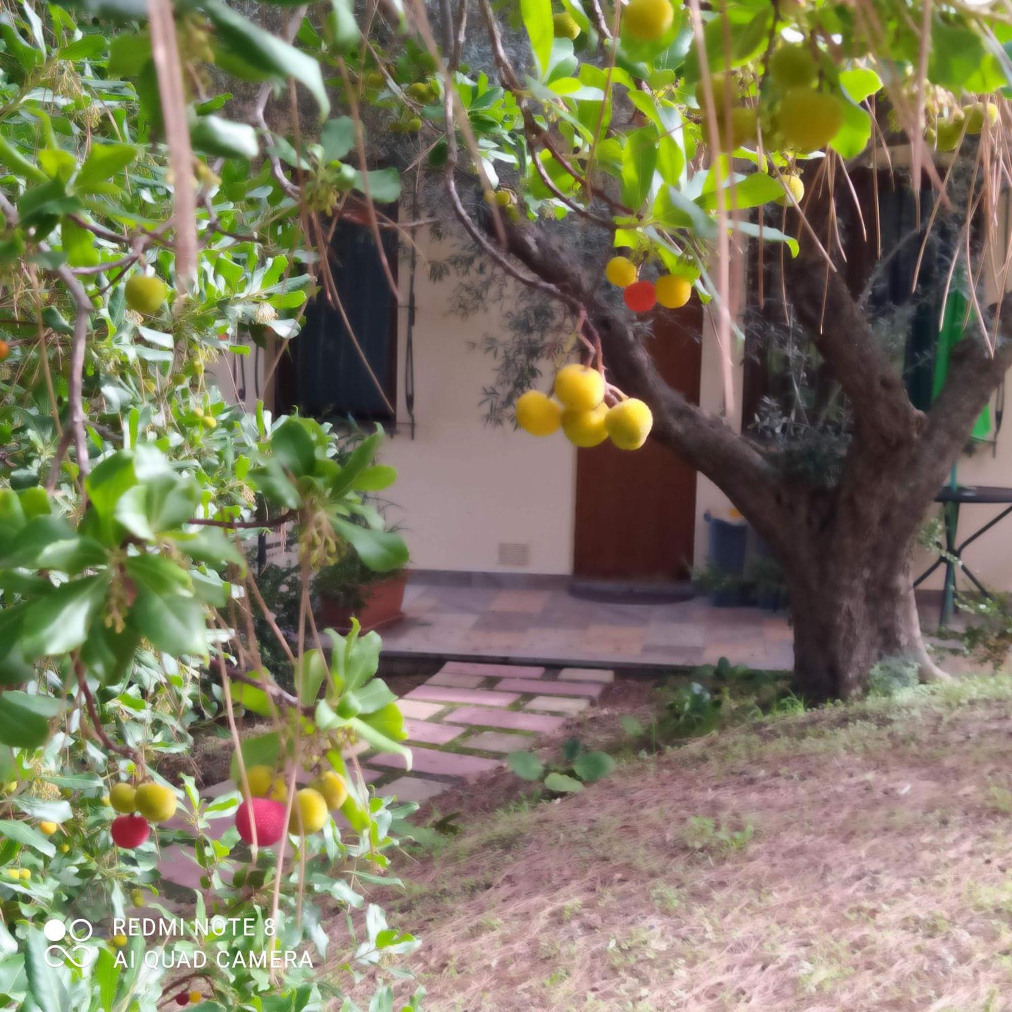 Le Poiane B&B Vacanze San Piero Patti Exterior foto